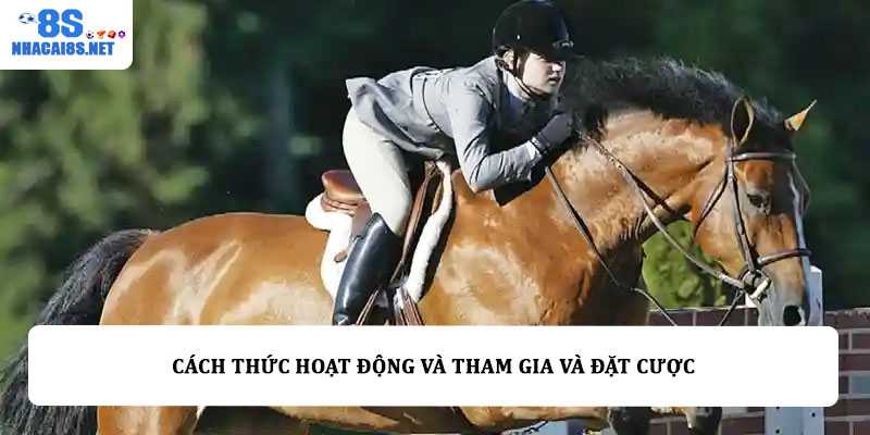 Cách thức hoạt động và tham gia và đặt cược