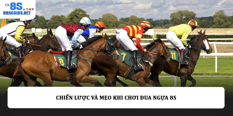 Chiến lược và mẹo khi chơi đua ngựa 8S